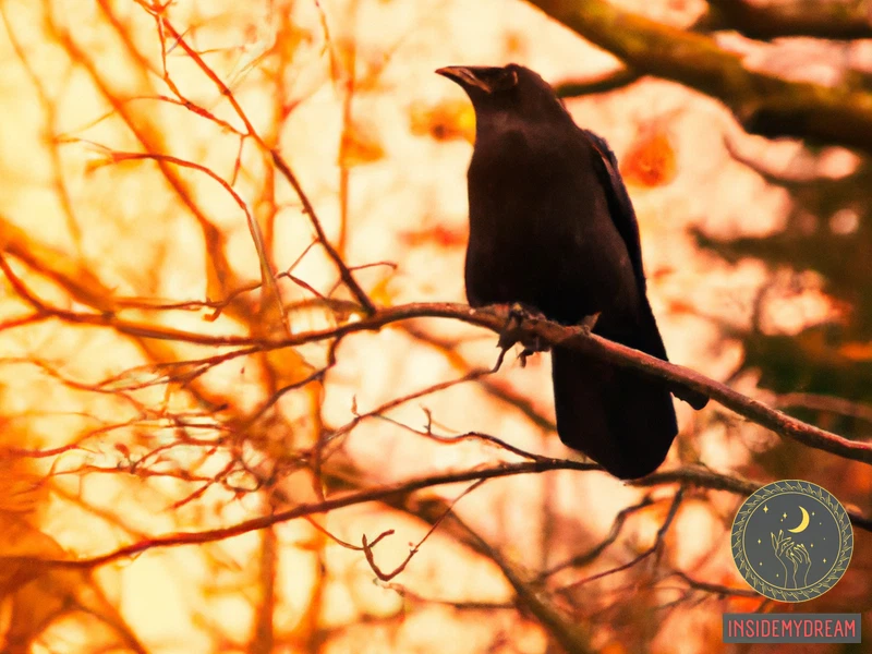 What Is The Spiritual Meaning Of Black Crows?
