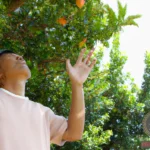 Fruit Throwing Dream Meanings: Interpreting the Symbolism