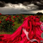 Exploring the Meaning of a Red Wedding Dress Dream