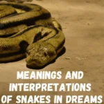 Cutting Off a Snake's Head Dream Meaning: Deciphering the Symbolism