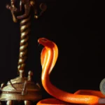 Orange Snake Hindu Dream Meaning: Decoding the Symbolism