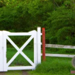 White Gate Dream Meaning: Interpretations and Messages