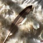 Splinter Dream Meaning: Understanding the Symbolic Interpretation