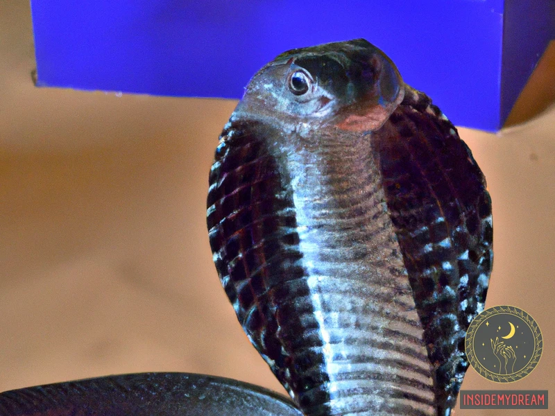 Black Cobra Symbolism