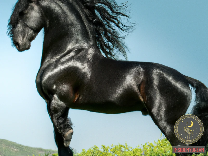 Black Stallion Dream Meaning