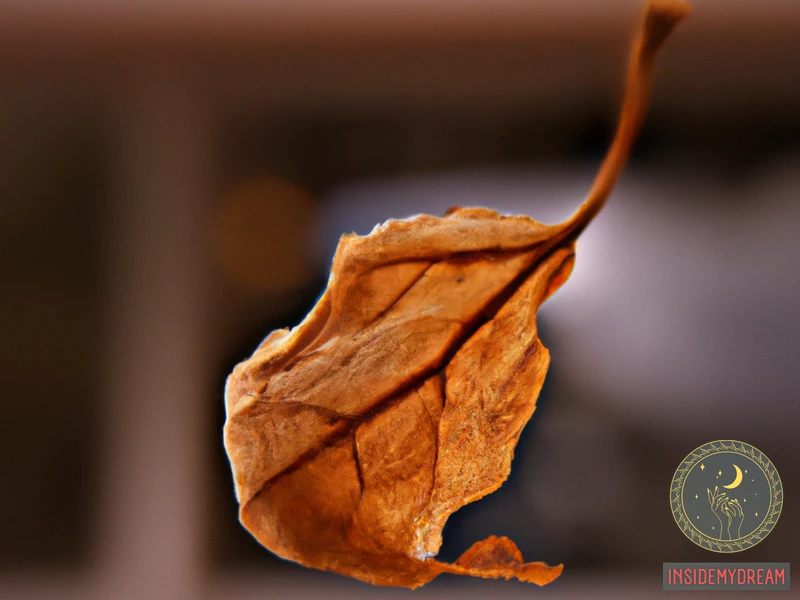 Emotions Associated With Brown Leaves Dream
