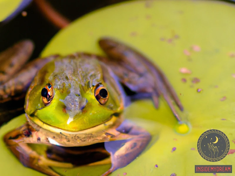 Green Frog Symbolism