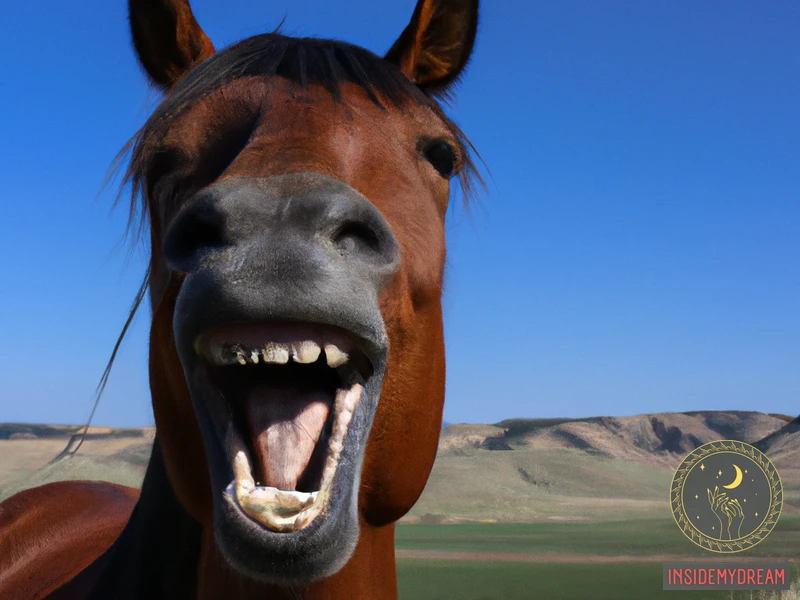 Horse Teeth: Meaning And Symbolism