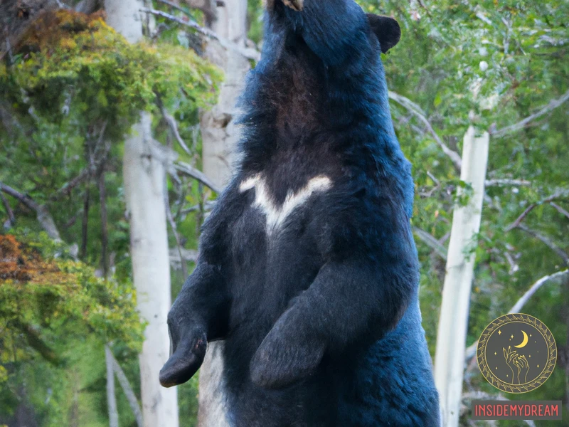 Symbolism Of Blue Bear
