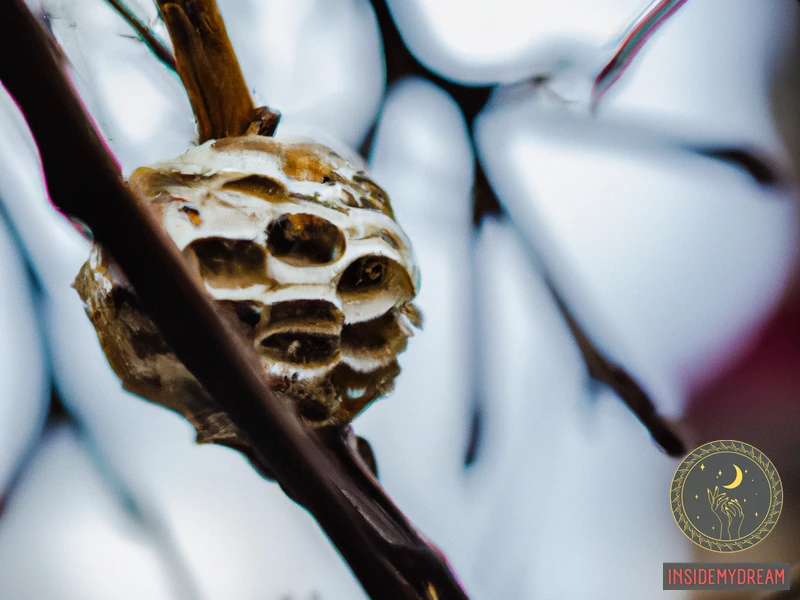Understanding The Wasp'S Nest Dream Meaning