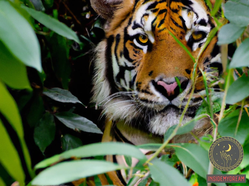 Understanding Tiger Symbolism