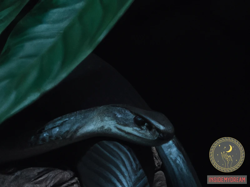 ¿Qué Es Una Serpiente Mamba Negra?