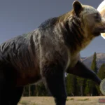 Understanding Killer Bears Dreams Meaning