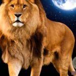 Three Lions Dream Meaning: Symbolism and Interpretation