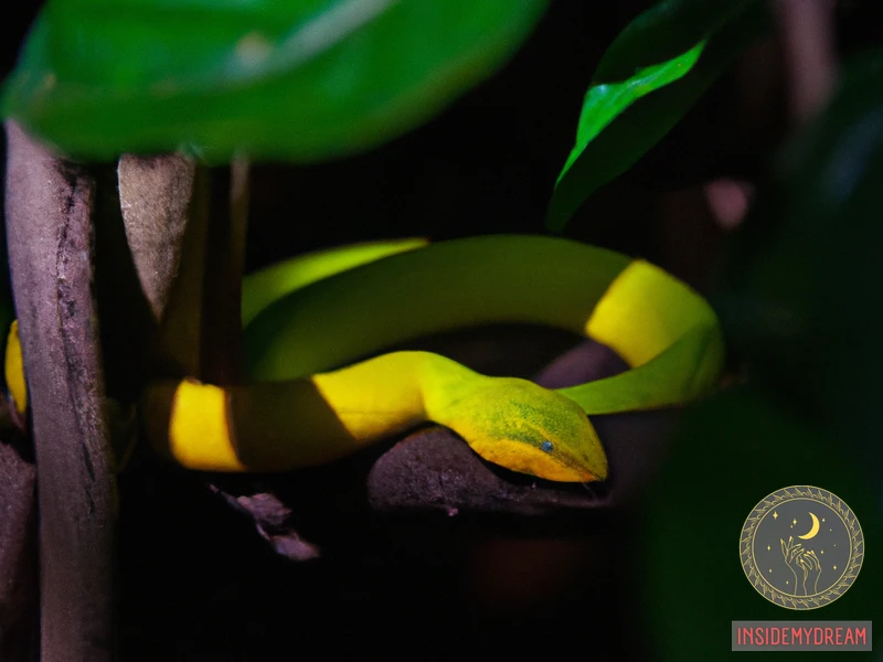 yellow-green-snake-dream-meaning-decoding-the-symbolism