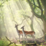 The Symbolic Value of Two Deer Dream Meaning