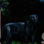 Panther Dream Meaning: Decoding the Messages Behind Your Dreams