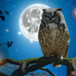 The Significance of Owls in Dreams: Symbolism and Interpretation