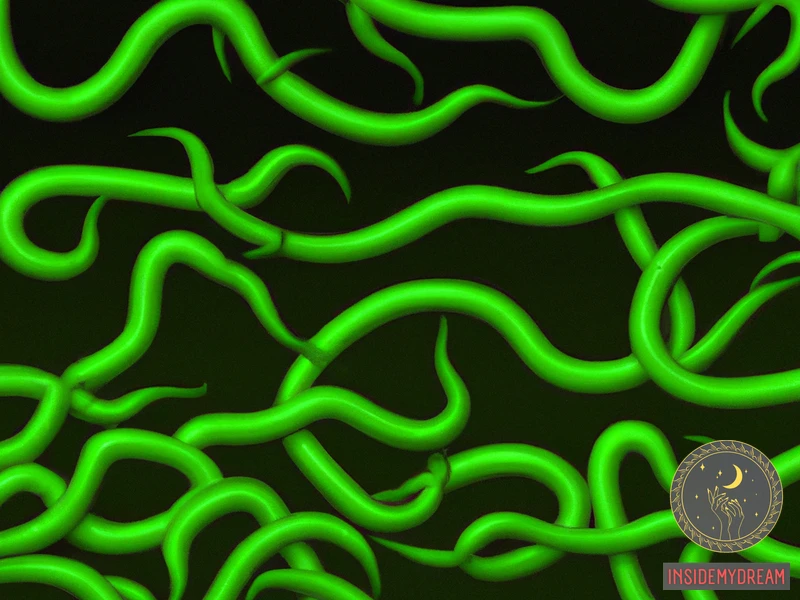 Green Worms Dream Meaning Decoding Your Nightmares