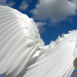 Understanding the Symbolism of White Wings in Dreams