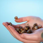 Picking Plenty of Snails Dream Meaning
