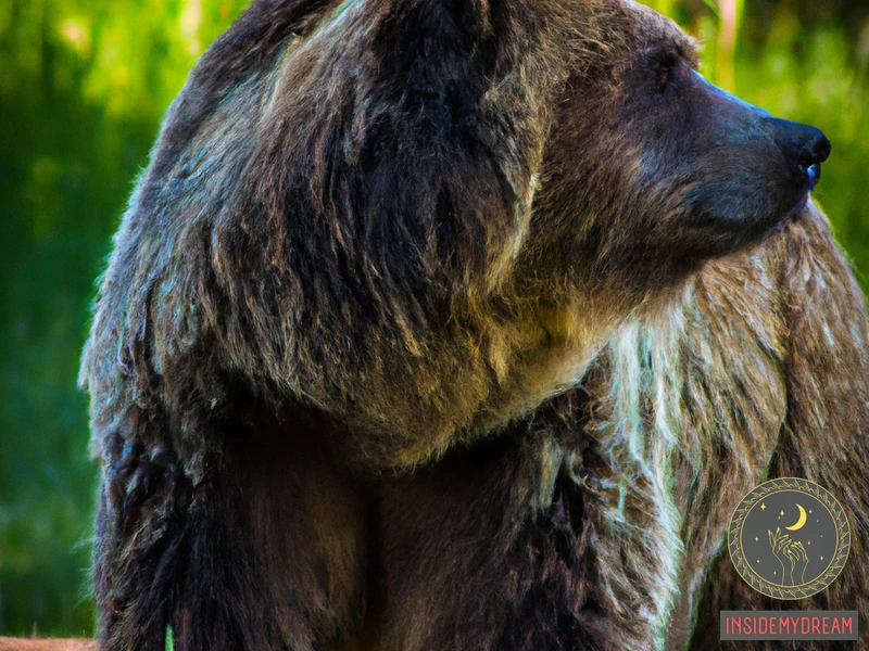 bear-native-american-dream-meaning-understanding-the-symbolism