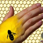 To Feel a Bee Sting on Your Hand Dream Meaning: What Does It Signify?