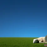 Exploring the Symbolism and Interpretation of a White Sheep Dream