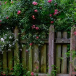 Understanding the Privacy Fence Dream Meaning
