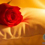 Deciphering the Message of a Single Red Rose Dream