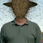 Interpretation and Analysis of Stopping Swarm of Flies Dream Meaning