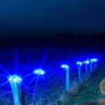 Electric Fence Dream Meaning: Understanding Its Significance