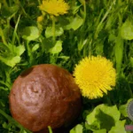 Found Chocolate Dream Meaning: Interpretation and Symbolism