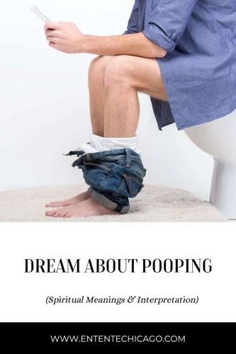 Factors That Affect Stepping In Poop Dream Meaning