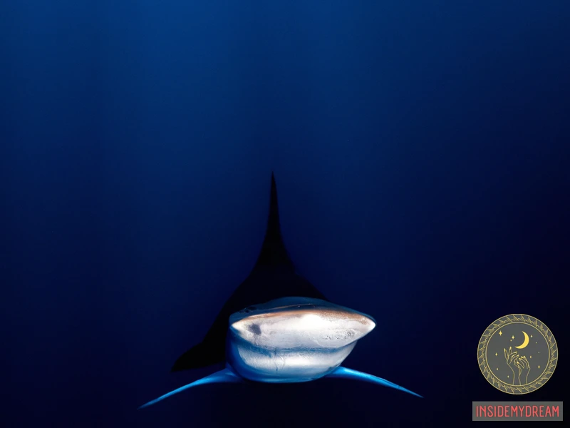 How To React To A Hammerhead Shark Dream