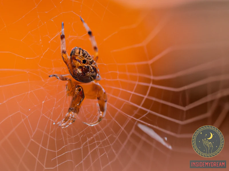Interpreting Different Orange Spider Dreams