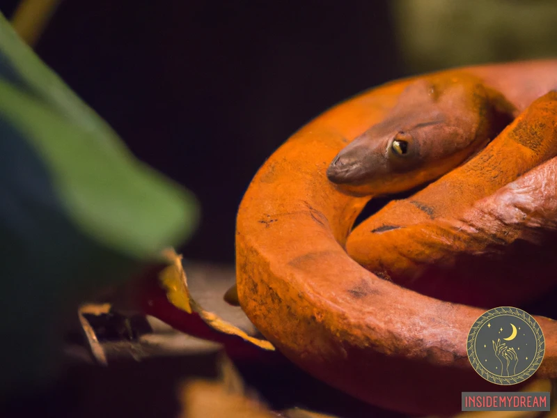 Meaning Of Copper Colored Snake In Dreams