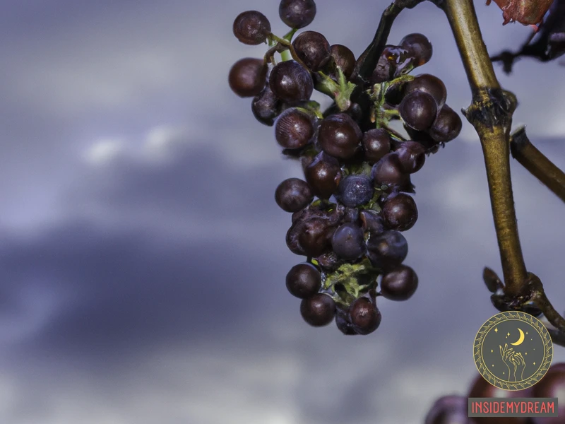 Red Grapes Dream Meaning