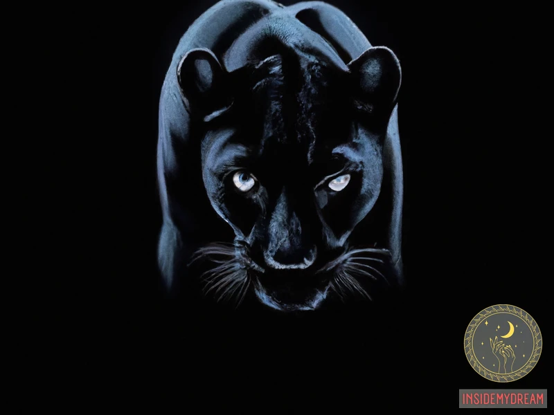Symbolism Of Black Leopard Dreams