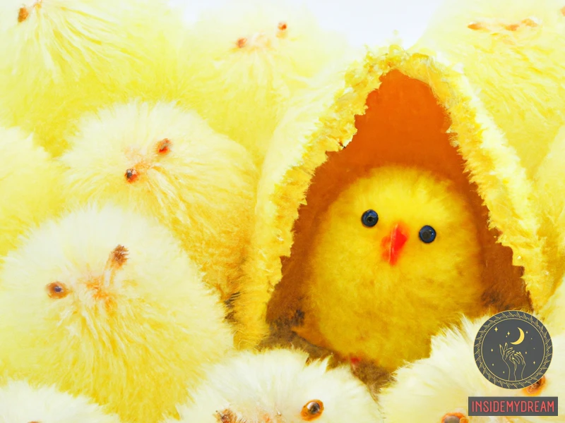 Symbolism Of Hatched Chicks In Dreams