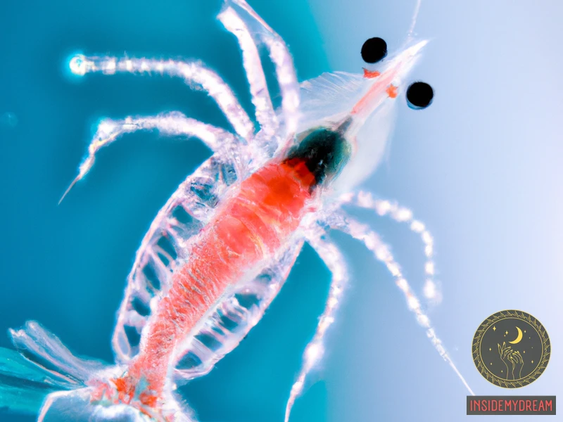 The Significance Of Krill
