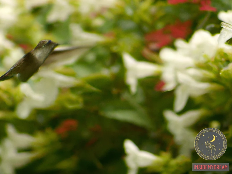 The Spiritual Significance Of A White Hummingbird Dream