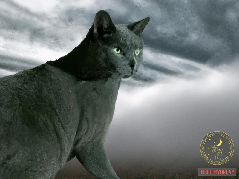 The Symbolism Of Gray Cats In Dreams 5.webp