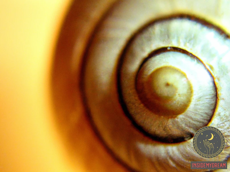 The Symbolism Of Snails