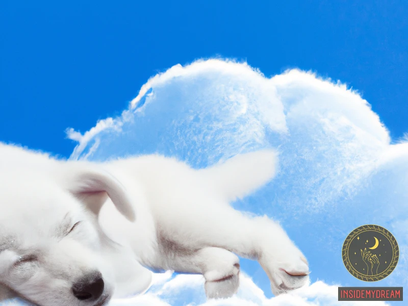 Understanding The Symbolism Of A White Puppy Dream