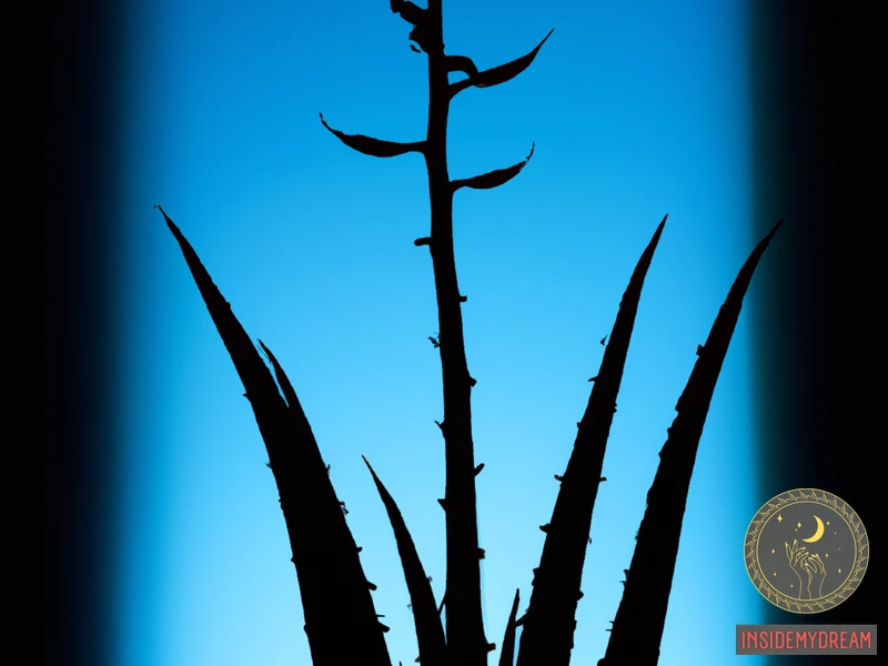 Understanding The Symbolism Of Aloe Vera In Dreams