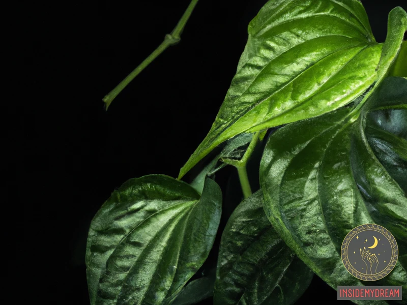 What Are Betel Leaves?