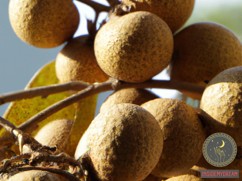 What Are Longan Fruits?