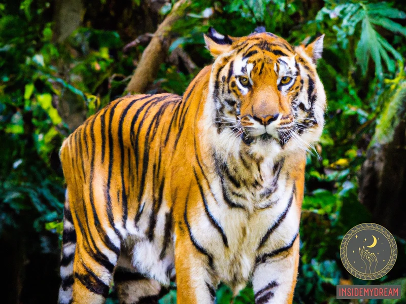 What Does A Bengal Tiger Represent?