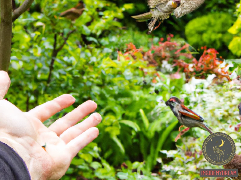 What Does It Mean To Dream About Feeding Birds?